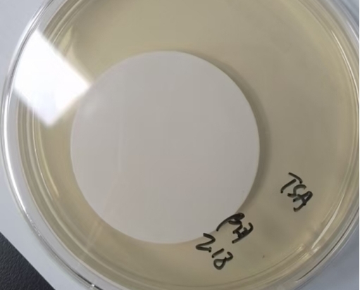 在日常微生物限度檢查中,應(yīng)該做幾個(gè)稀釋級