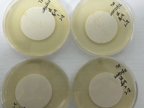 1751542035197874.jpg 微信圖片_20250220091811.jpg